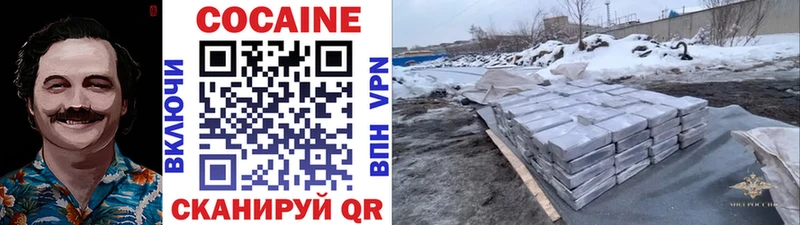 Кокаин FishScale  Купить где  Фатеж 