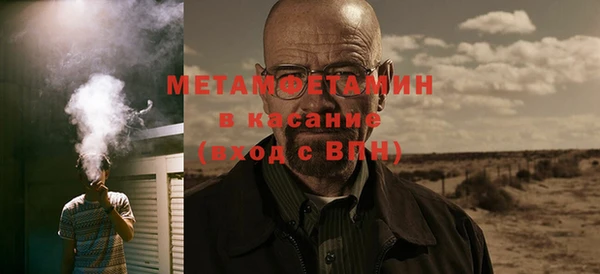 шишки Надым
