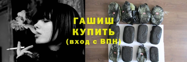 шишки Надым