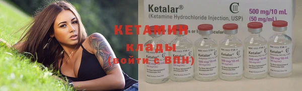 шишки Надым