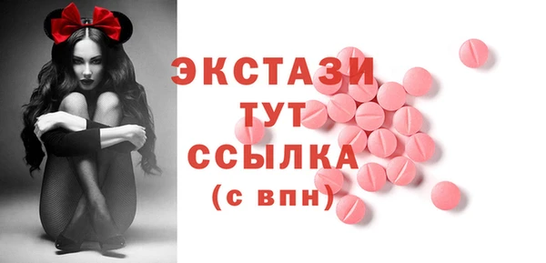 шишки Надым