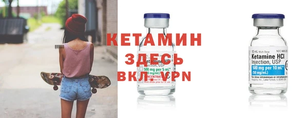 шишки Надым