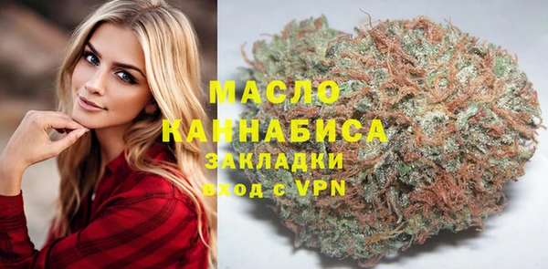 шишки Надым