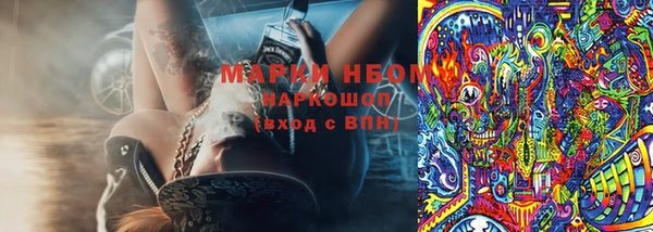 шишки Надым