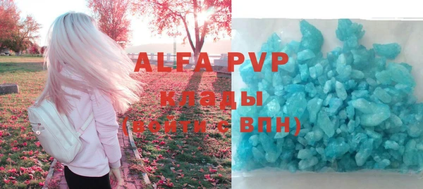 шишки Надым