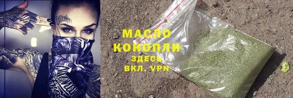 шишки Надым