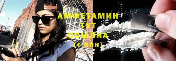 шишки Надым