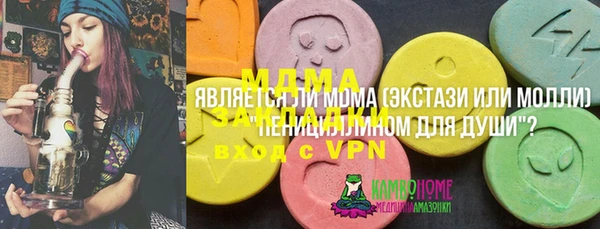 шишки Надым