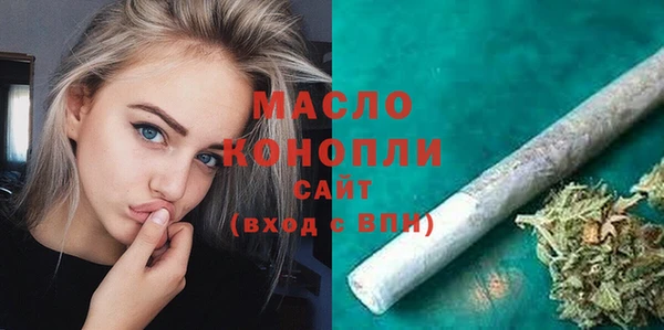 шишки Надым