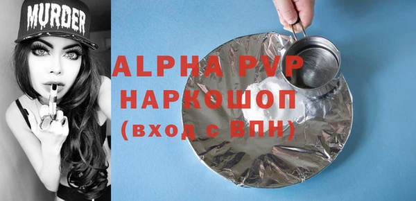 шишки Надым