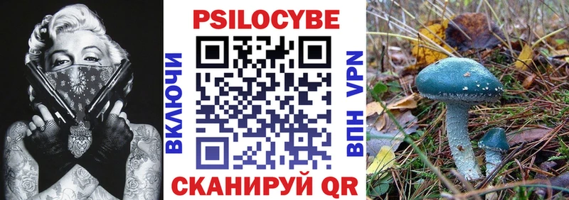 Галлюциногенные грибы Psilocybine cubensis  Купить где  Фатеж 
